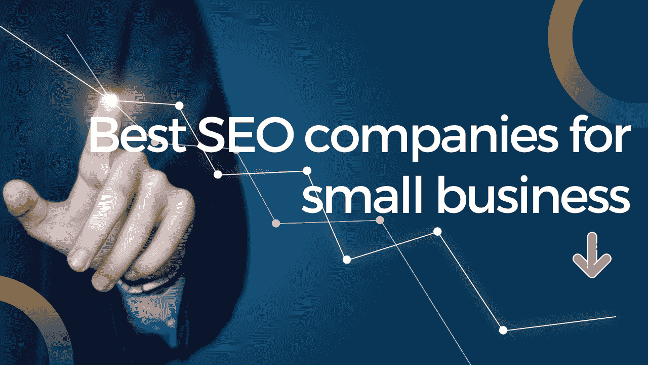 Best SEO Company for Small Business in USA: Complete Guide