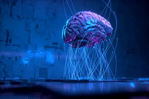 BrainSim-X Launches Developer Platform for Neural Simulation Data