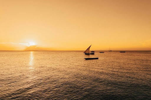 Fanjove Island: The Ultimate Private Island Escape for CEOs, Curated by Trail Safari Explorers
