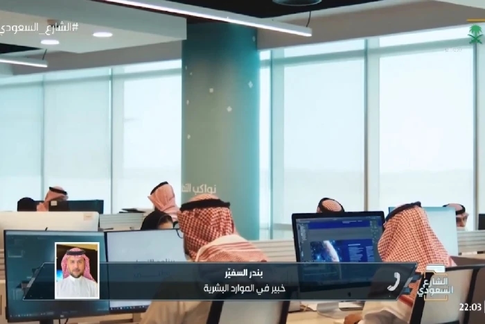 بالفيديو..  خبير في الموارد البشرية : يحق للمشترك العمل لدى أكثر من جهة بشرط
