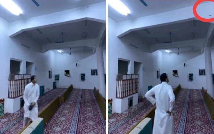 بالفيديو.. شاب يحاول قتل "وزغة" داخل مسجد  وفجأة  حدث مالم يتوقعه
