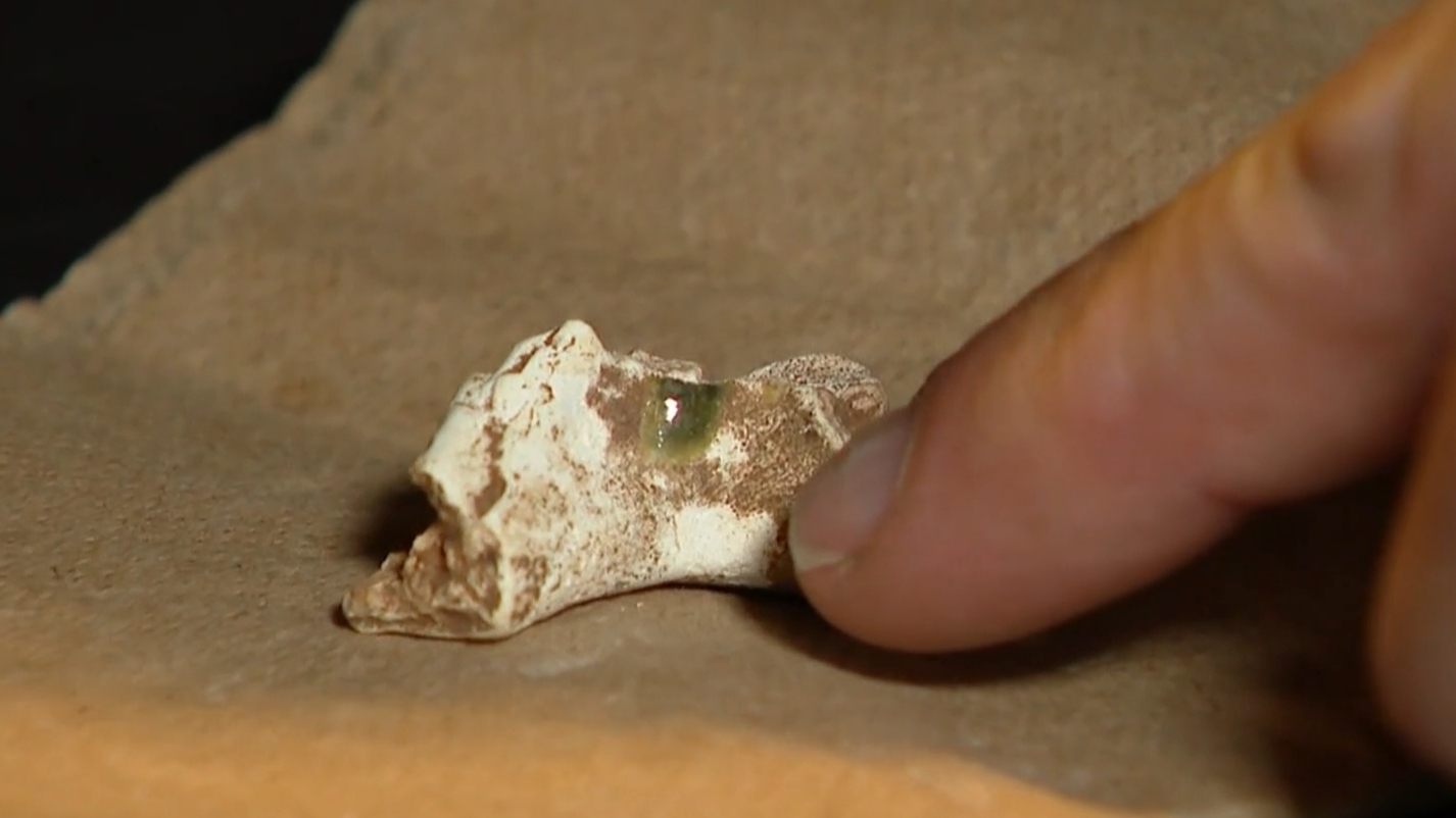 Private investigation uncovers mystery bone fragment