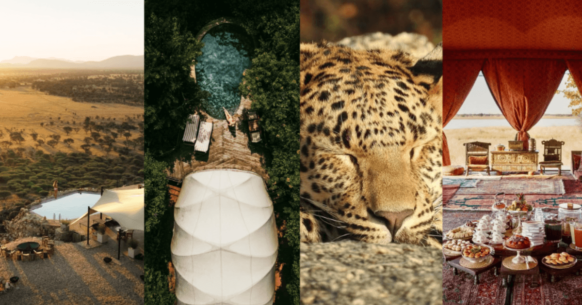 8 luxury safari stays around the world to check out in 2025