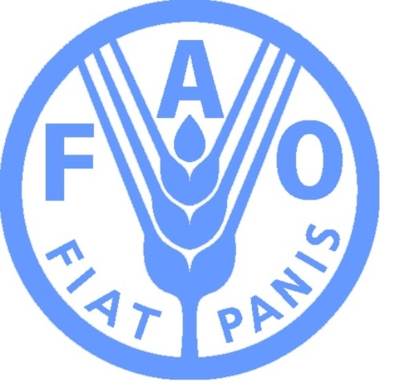 "West Africa has the potential to sustainably transform its food systems," says Ms. Bintia Stephen-Tchicaya, Acting Food and Agriculture Organization (FAO) Subregional Coordinator for West Africa