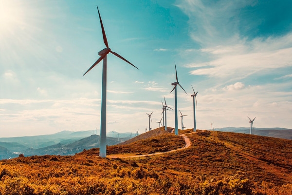 Africa Finance Corporation Secures Inaugural AED 937.5 Million Sustainability-Linked Loan Backed by United Arab Emirates (UAE) Banks