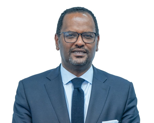 Driving Africa's Open Skies: Aircraft Manufacturers, Catalysts for Progress (By Henok Teferra Shawl)