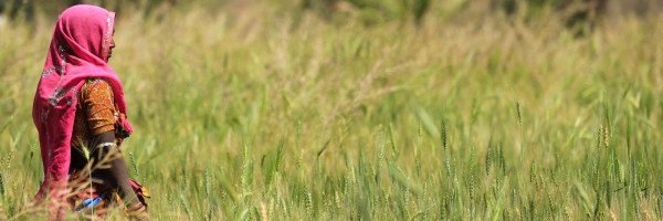 Africa: Advancing gender responsive land governance and women's land tenure security