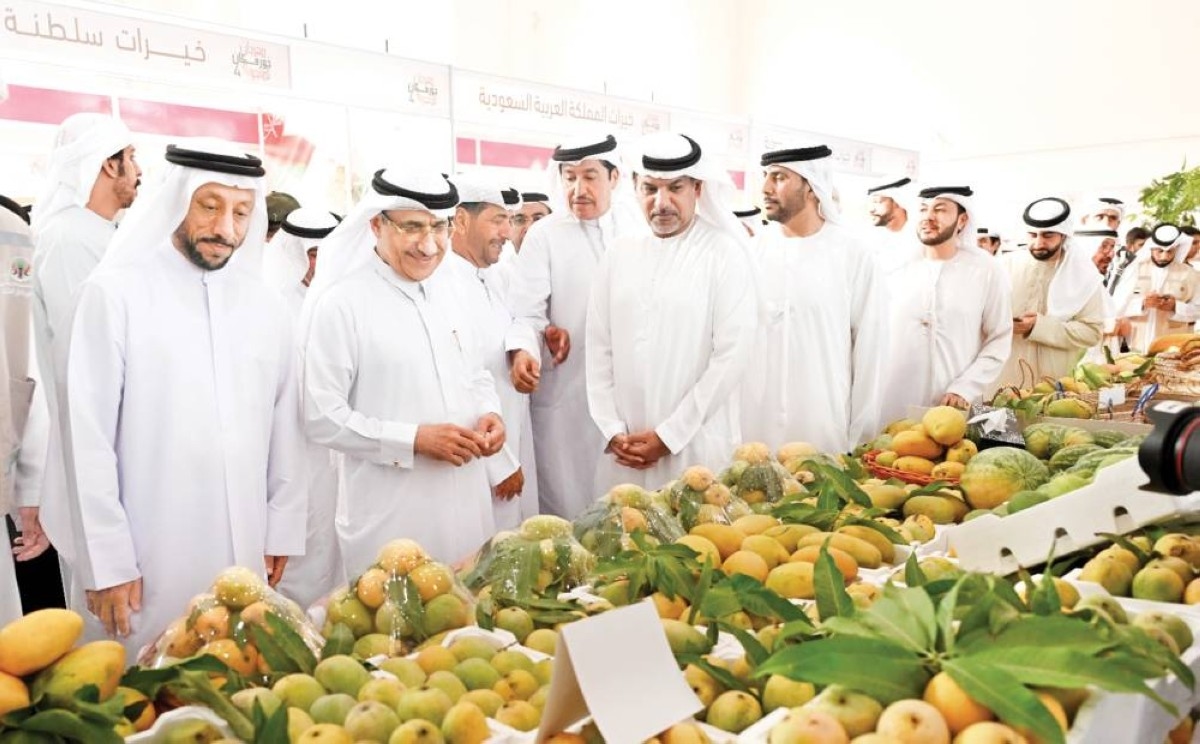 150 صنفاً في مهرجان خورفكان للمانجو 2025