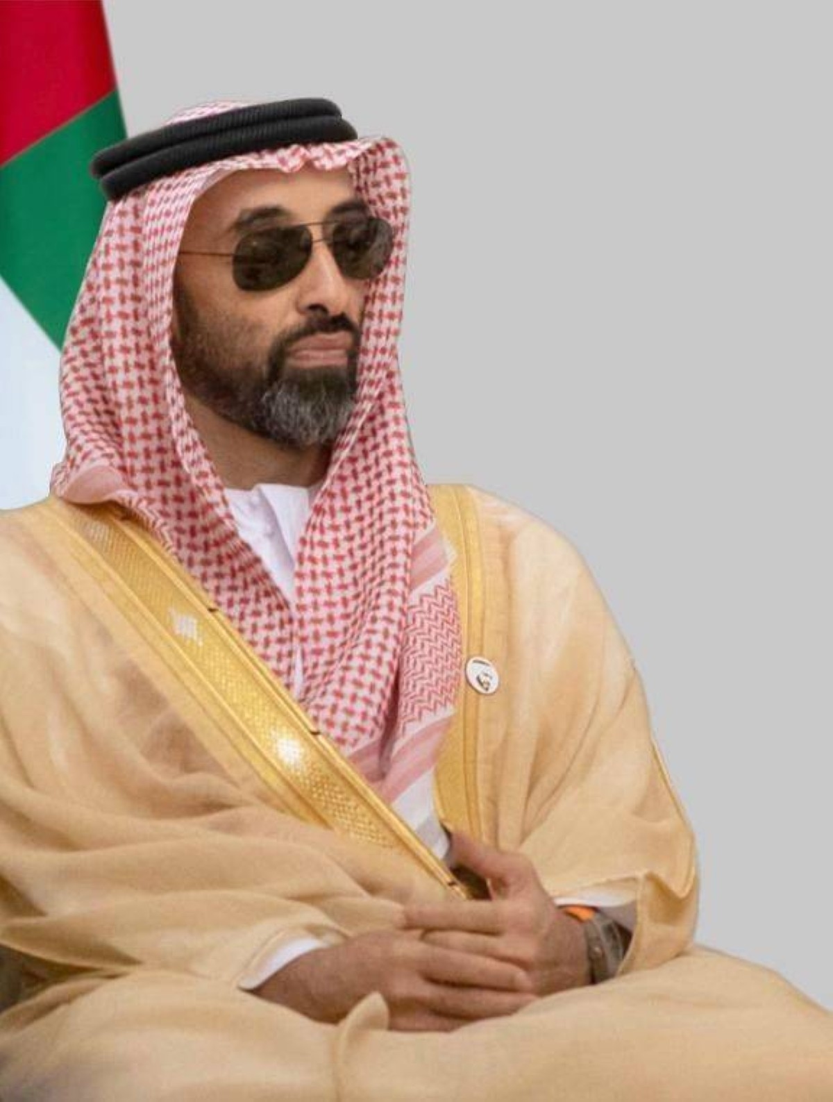 طحنون بن زايد: "القابضة -ADQ" ملتزمة بدعم التحول الرقمي والتنويع الاقتصادي في الإمارات