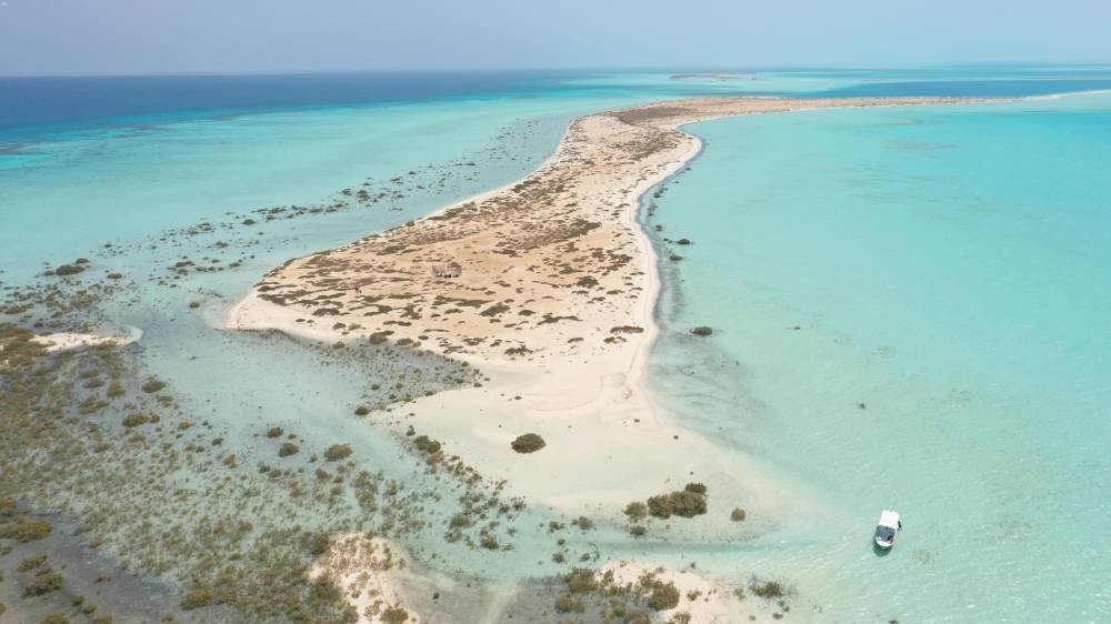 "البحر الأحمر" السعودية تطور لوائحها لجذب الشركات المحلية والأجنبية