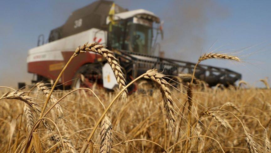 للمرة الأولى منذ 2021.. روسيا تخفض رسوم تصدير القمح إلى الصفر لتعزيز المبيعات