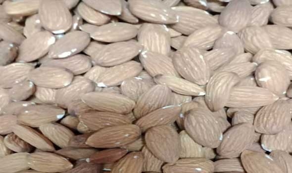 جوز البرازيل كنز غذائي يعزّز صحتك من الداخل إلى الخارج