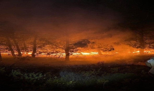 حرائق الغابات تشعل الجدل على منصات التواصل الاجتماعي في سوريا وتركيا
