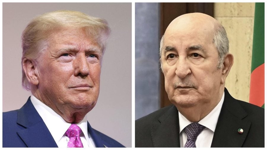 ترامب مراسلا تبون في ذكرى استقلال الجزائر: حققنا إنجازات سويا ونأمل في مواصلة الازدهار