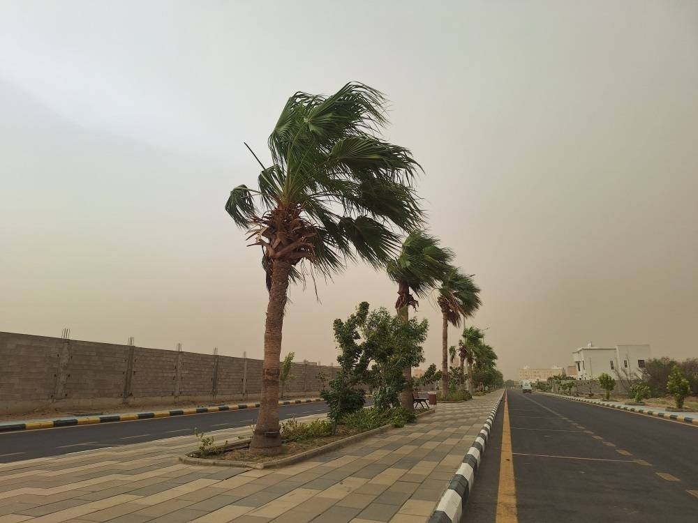 خارطة طريق ترسم تطوير محافظة الفل