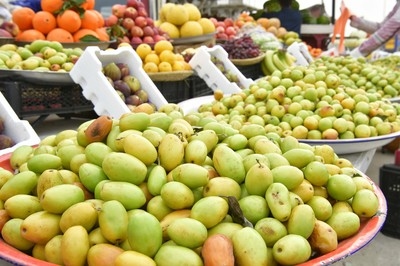 Nabq fruit gains popularity in Kuwait for its delicious taste and nutritional value