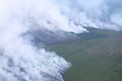 Indonesia on alert as forest fires escalate in western region