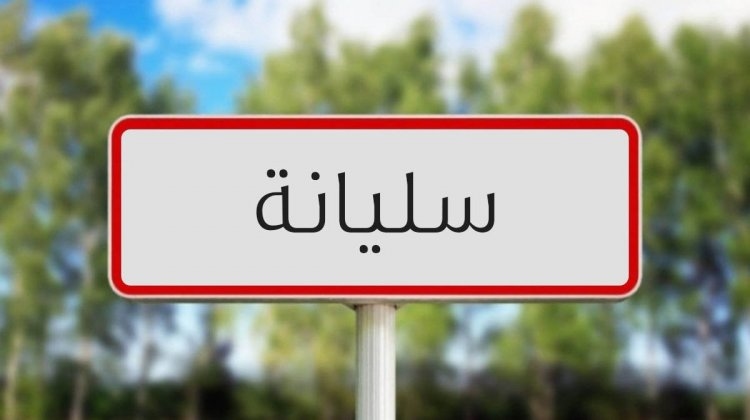 سليانة: تقدم اشغال عدد من مشاريع البنية التحتية بنسب متفاوتة