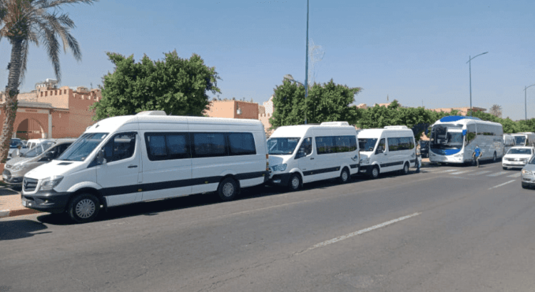 وزارة النقل تطلق حزمة خدمات رقمية جديدة للمهنيين