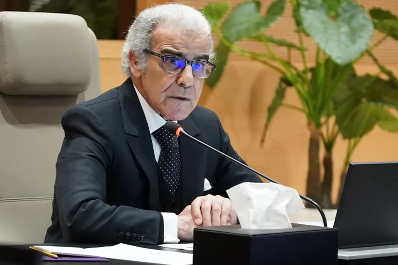 الجواهري يكشف تحديات التمويل التشاركي في المغرب 2025