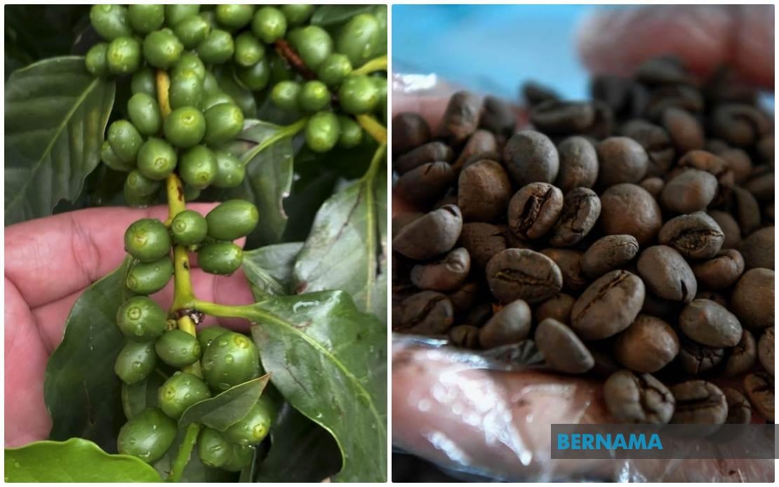 Malaysia's Domestic Coffee Market Valued At US$1.05 Bln -- Chan