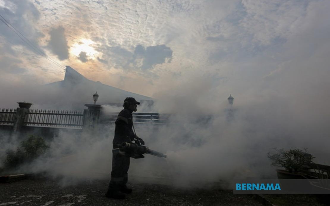 Kelantan Records Decline In Dengue Cases, Wolbachia Mosquito Release Shows Results