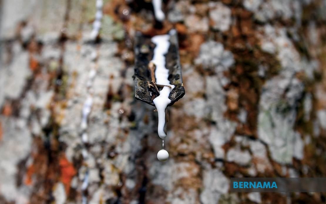 Rubber Market Ends Lower On Weaker Oil Prices