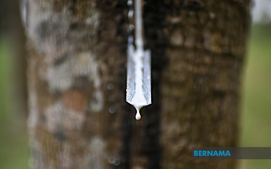 Rubber Market Ends Lower, Tracks Regional Losses And Oil Decline
