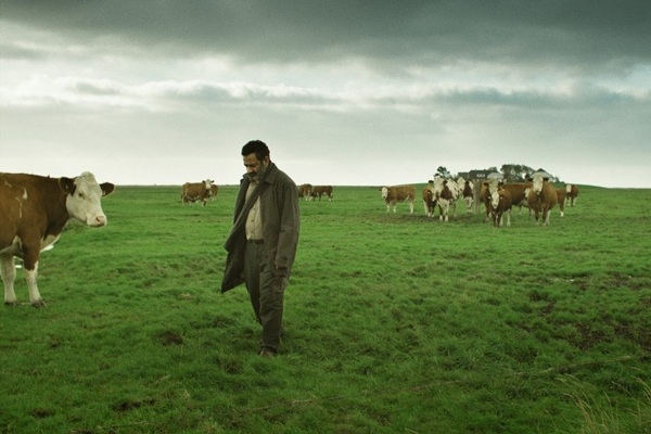 Sydney Film Festival adds MAD titles to 2025 line-up