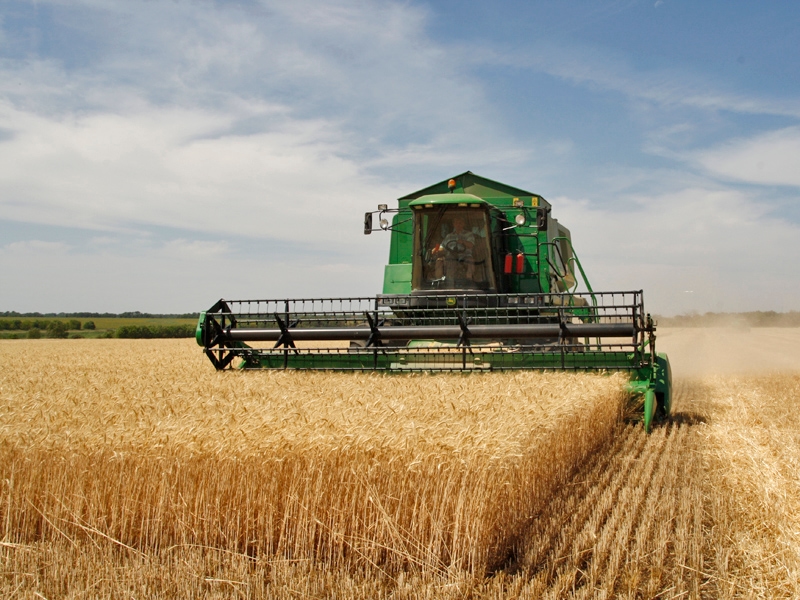 MEP: Tisza Party voted against Hungarian farmers' interests
