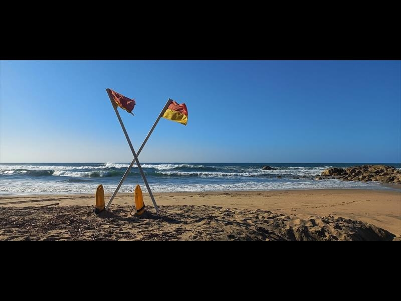 KZN Sharks Board warns public to be alert during Sardine Run