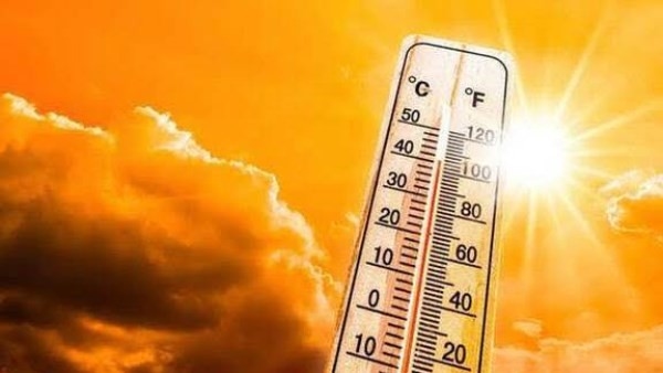 شديد الحرارة .. وارتفاع نسب الرطوبة