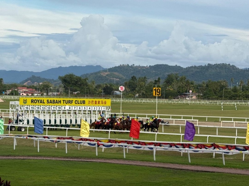 Harvest Festival Cup this Sunday