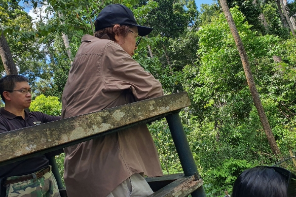 Sun bear centre draws 79,362 visitors