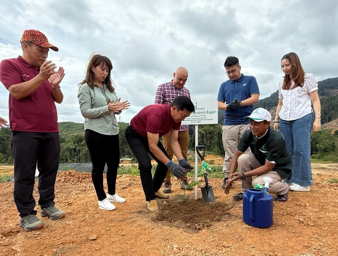 Monitoring forest plantation projects crucial: Sabah Forestry Department