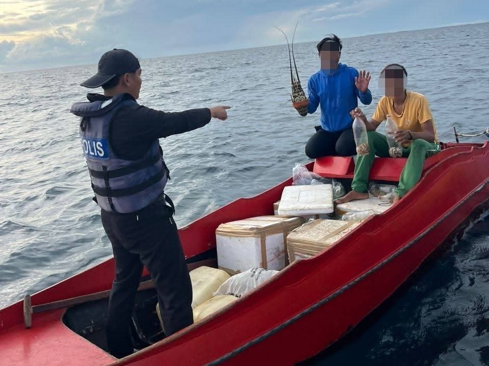 Eight arrested for alleged smuggling of marine produce off Semporna
