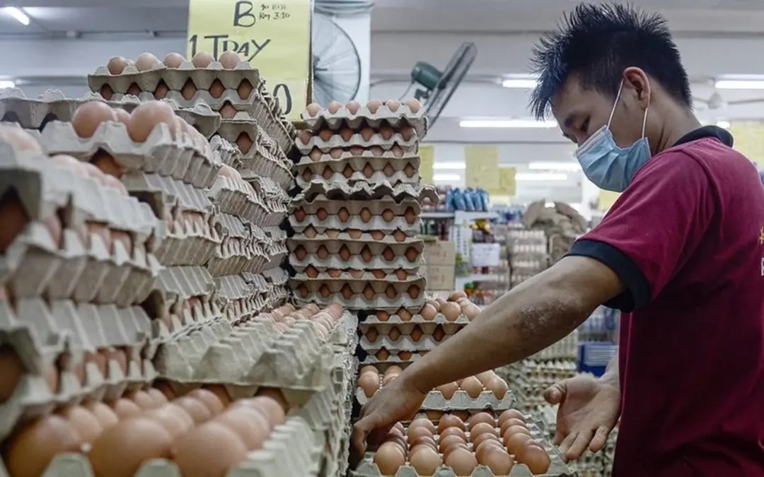 RM45 million monthly savings since egg subsidy slashed, says minister