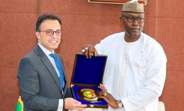 Egypt, Mali discuss developmental, parliamentary cooperation