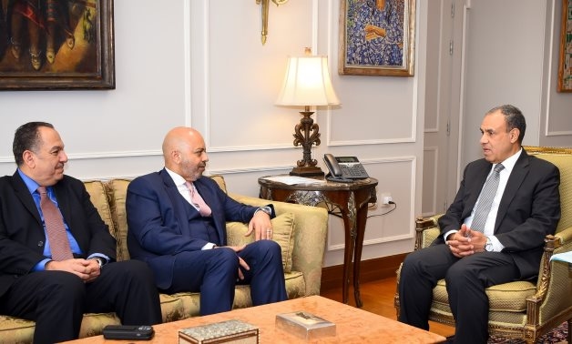 Egypt's FM meets with Head of UN Security Council Reform Negotiations