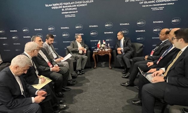 Egypt's FM, Iranian counterpart review outcomes of recent talks in Geneva