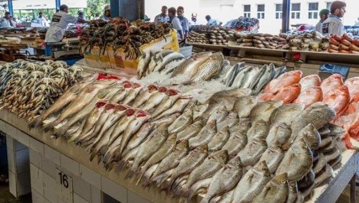 أسعار الأسماك والجمبري اليوم السبت 5 يوليو 2025.. البوري بـ 120 جنيهًا