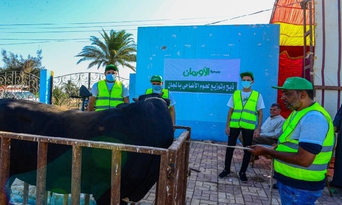 ذبح وتوزيع لحوم الأضاحي مجانًا على الأسر الأولى بالرعاية في الفيوم
