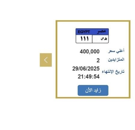 سعرها وصل 400 ألف جنيه.. التزايد على لوحة سيارة مميزة ينتهي خلال ساعات