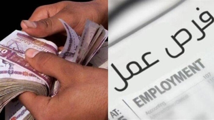 مرتبات تصل إلى 8000 جنيه.. وزارة العمل تعلن عن وظائف جديدة في هذه التخصصات