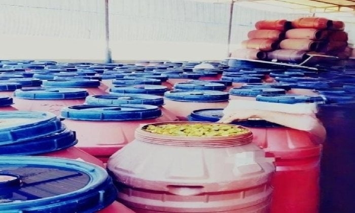 داخل مصنع «بير سلم».. ضبط 100طن مخللات مجهولة المصدر بوادي النطرون
