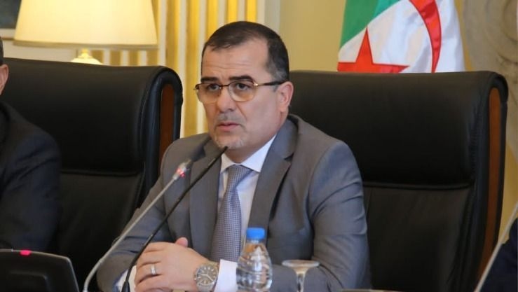 وزير العمل: تمويل 72مشروعا نموذجيا في عدة ولايات ومرافقة أكثر من 740 حامل مشروع - الوطني : البلاد