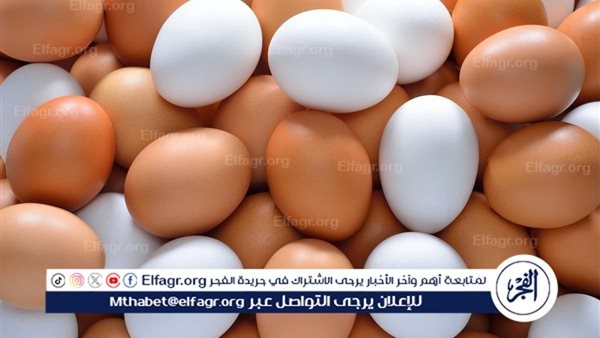 أسعار طبق البيض اليوم الاثنين 7-7-2025 في قنا