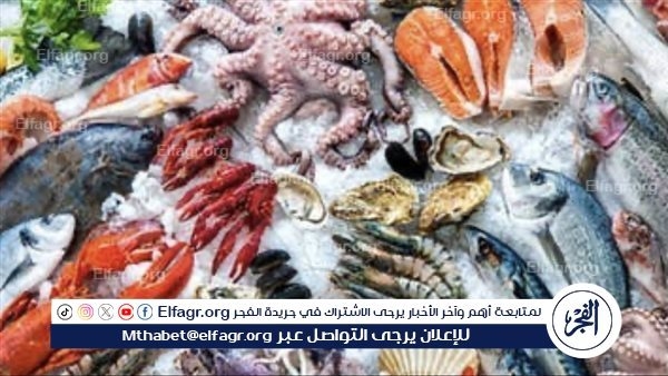 أسعار المأكولات البحرية والجمبري اليوم الأربعاء 16-7 في محافظة الدقهلية