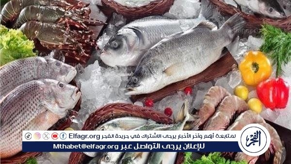 أسعار السمك اليوم الاثنين 38-6-2025 في محافظة قنا