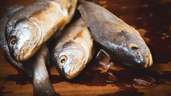 أسعار السمك اليوم الأحد 29 - 6